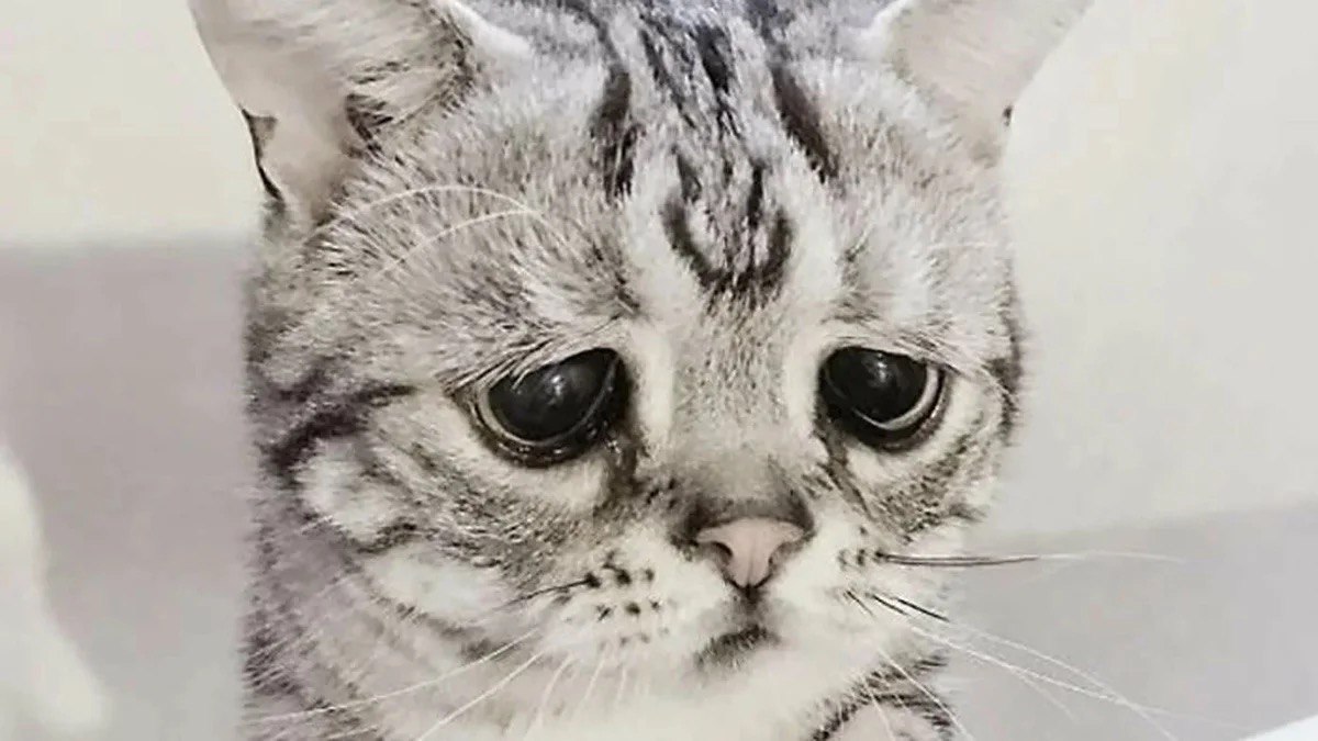 Фотография поста