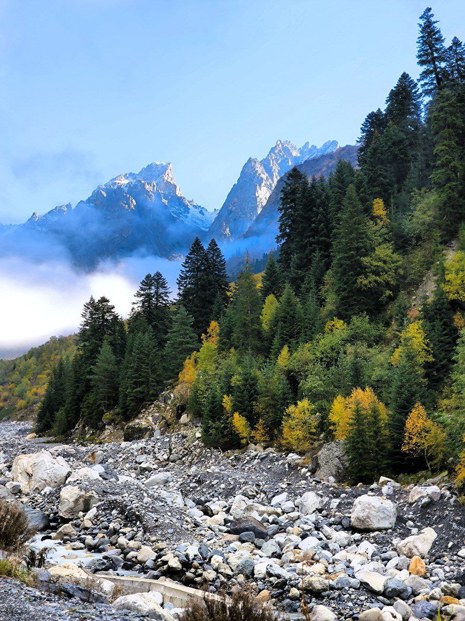 Место, где живёт счастье image preview